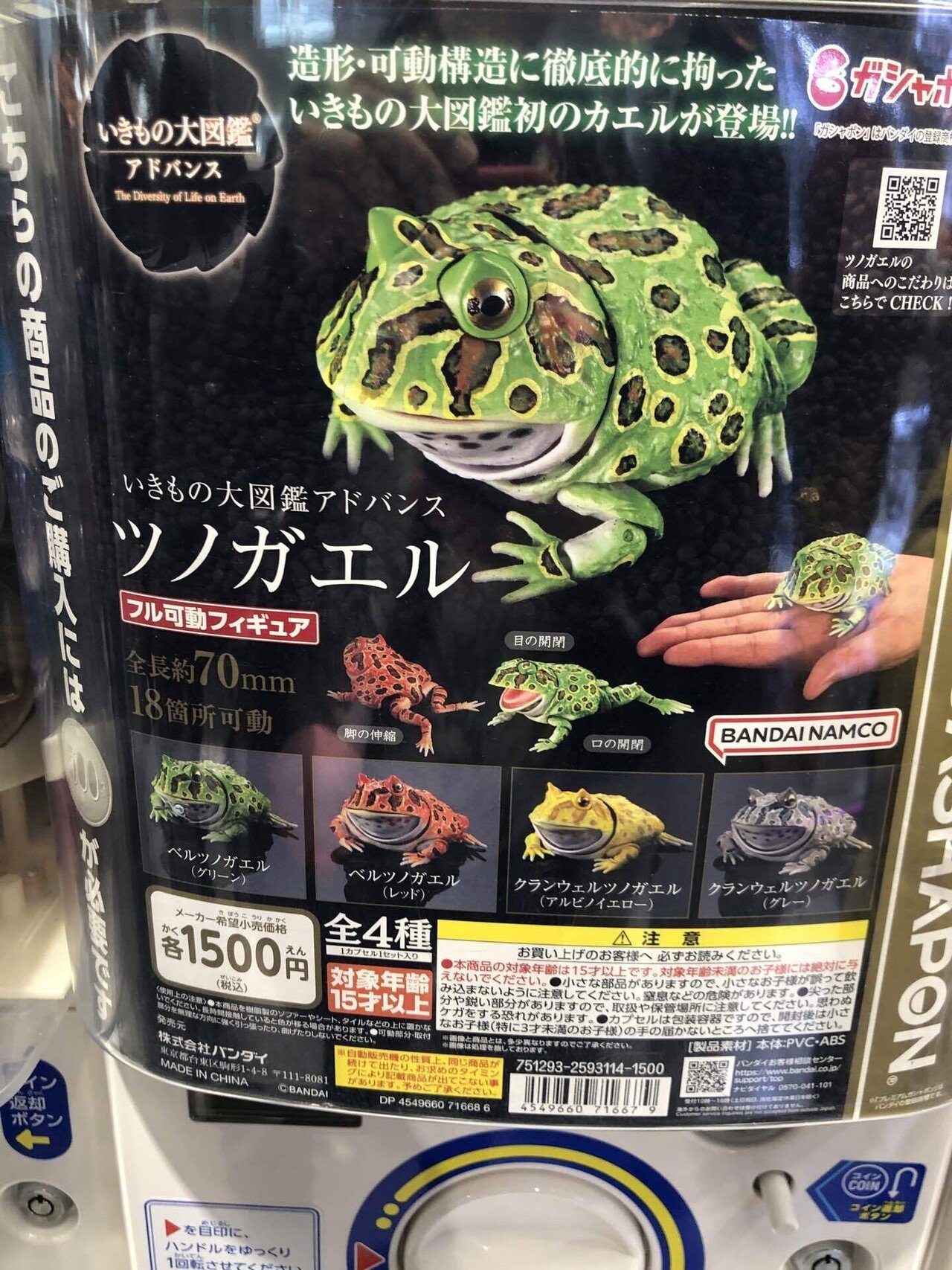 インフレが止まらない｜いわのり@マイペースしてます