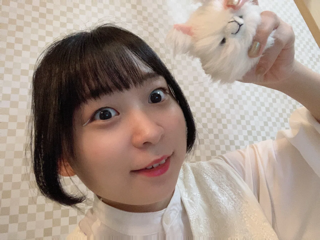 アンゴラ村長 高校