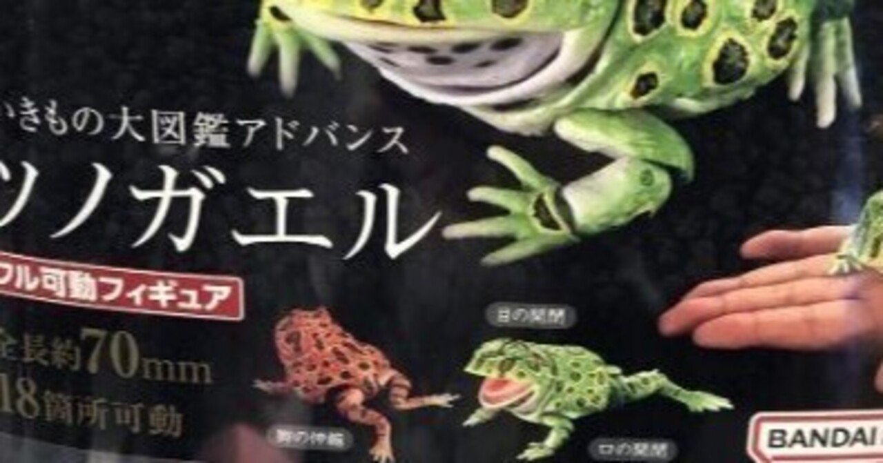 インフレが止まらない｜いわのり@マイペースしてます