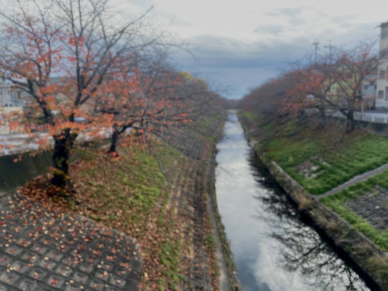 口を付ける。それをする時、私は気が漫ろになっている。そこに意識はなく、ただぼんやりと意識を他方に飛ばし、見えない先に目を閉じる。それでも口から ...