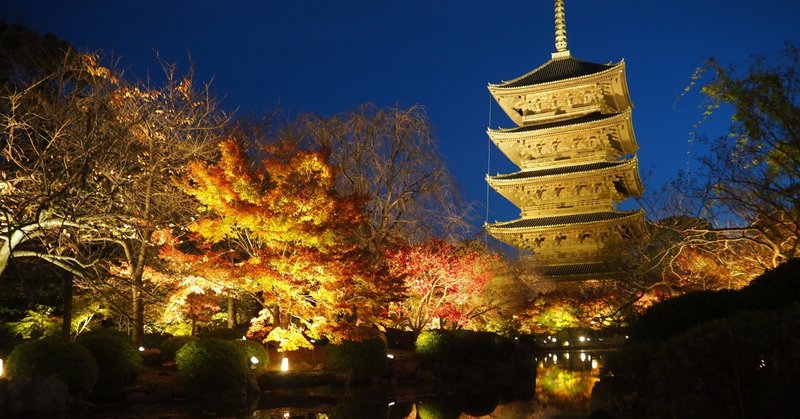 京都巡り#50 風光明媚な東寺の紅葉＆ライトアップ