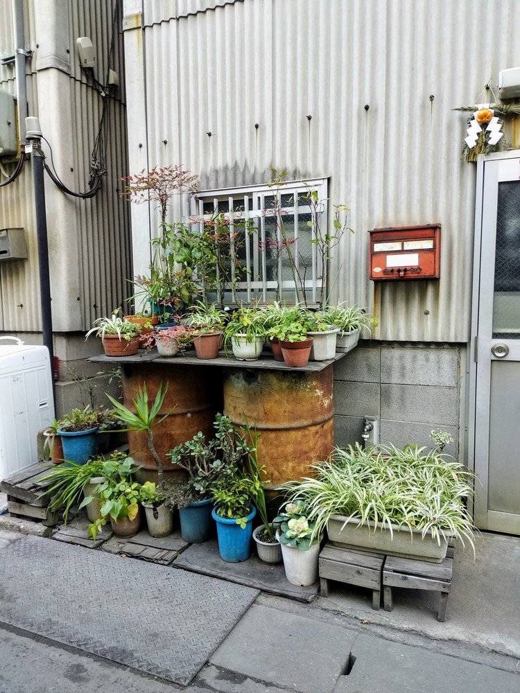 川沿いの町の廃品リサイクル工場の玄関がとてもいい雰囲気なのだ。コンクリートと鉄に囲まれていても植物を愛し、季節を大切にする。中小企業の多い工場街でもこういう風景が見られる、こういう真面目さこそが日本の良いところなのじゃないかと深く思った。
