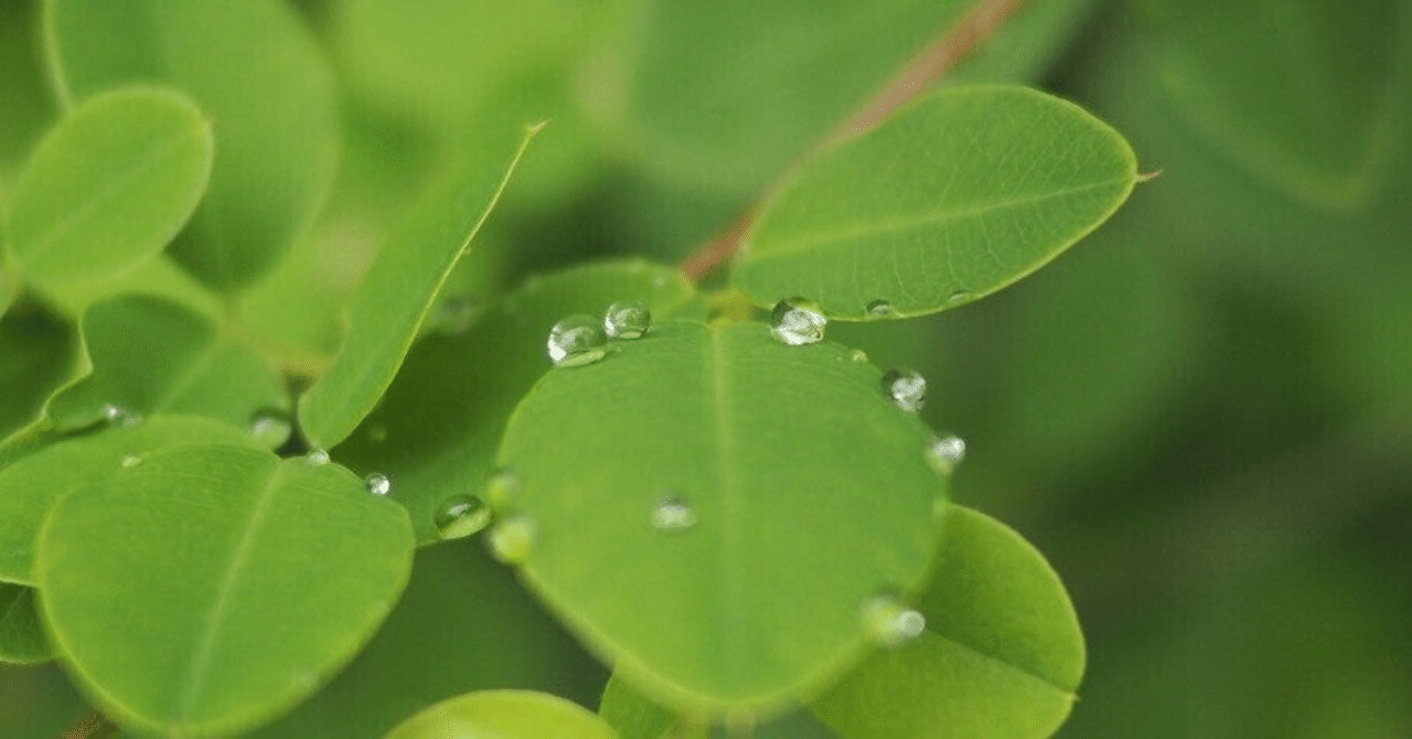 鑑賞レビュー：なつかしい思い出の海を思い出す。アルベール・マルケ作