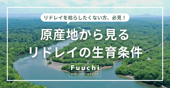 Fuuchi｜note