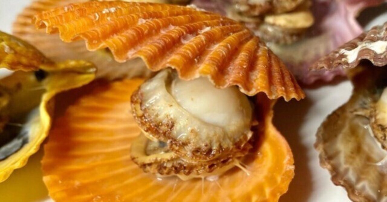 カラフルな天然色が特徴のヒオウギ貝☆濃厚な味わいと大きな貝柱の旨み