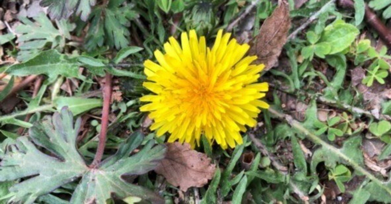 BA122/BM20[金融リテラシー/高難度]経営でフルにアウトソーシングしても付加価値を生み出せますか(2022/11/28updated ...