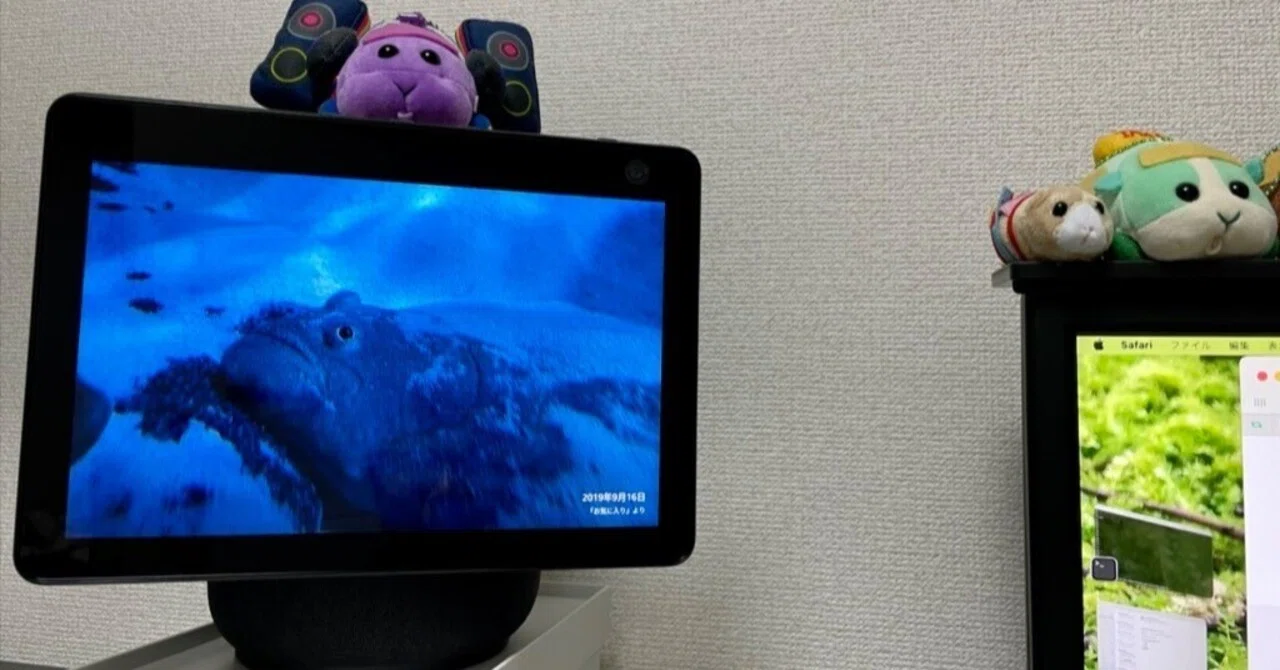 Echo Show 10を買った｜NJRecalls