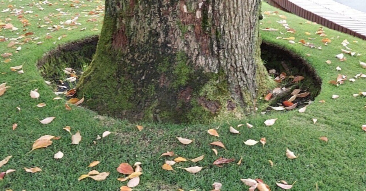 ここをディズニーランドとしようという考え方 おおそねさとし Note ここをディズニーランドとしようという考え方 おおそねさとし Note