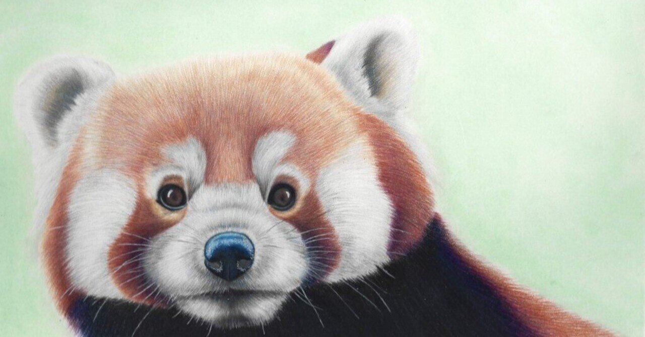 動物を描く ライトファストで描くレッサーパンダ： アリス・ヒバート