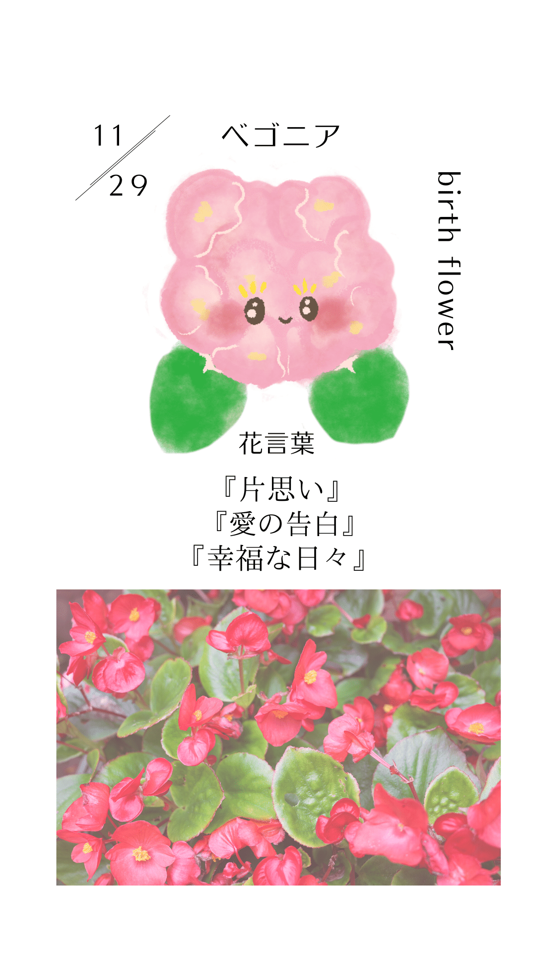 花言葉