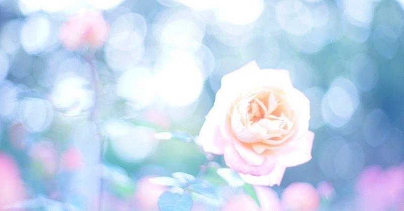 芯がある人 の特徴 阪本明日香 note