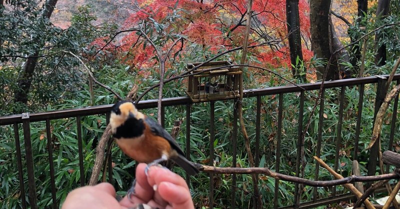 進む季節、止まる時間