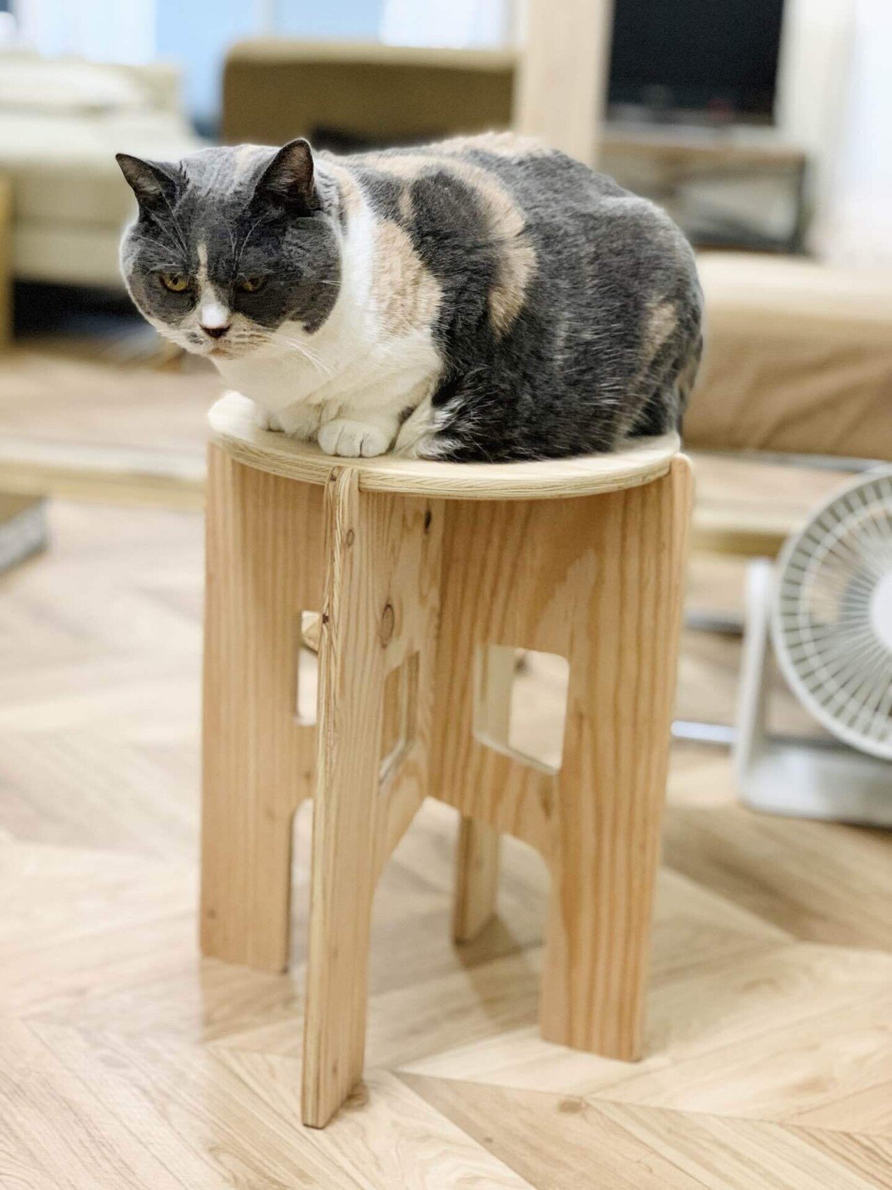 今日はもう眠いやbyミシュ くりやま おもしろい習慣 Note