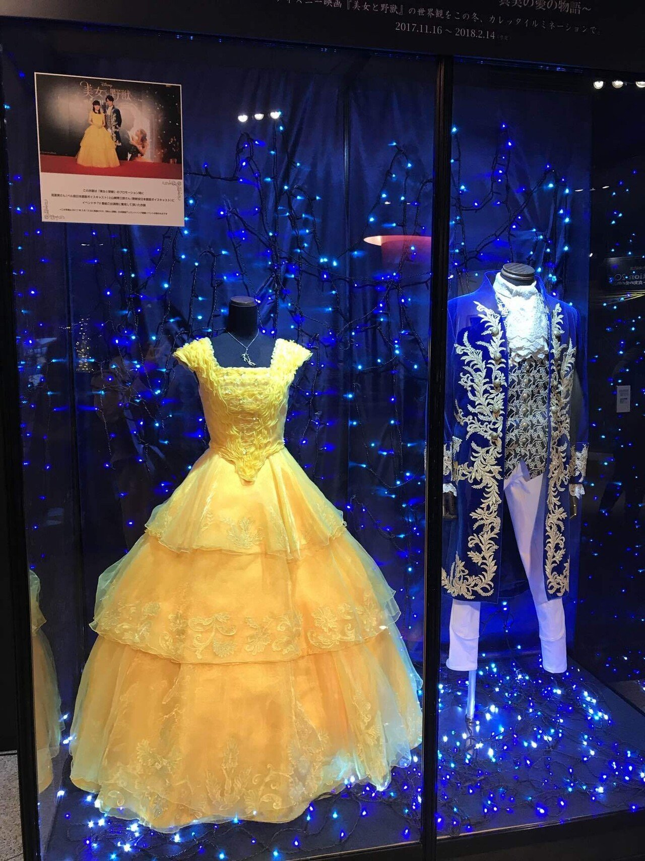 090 美女と野獣（お気に入りを500数える）｜ちょっちょ