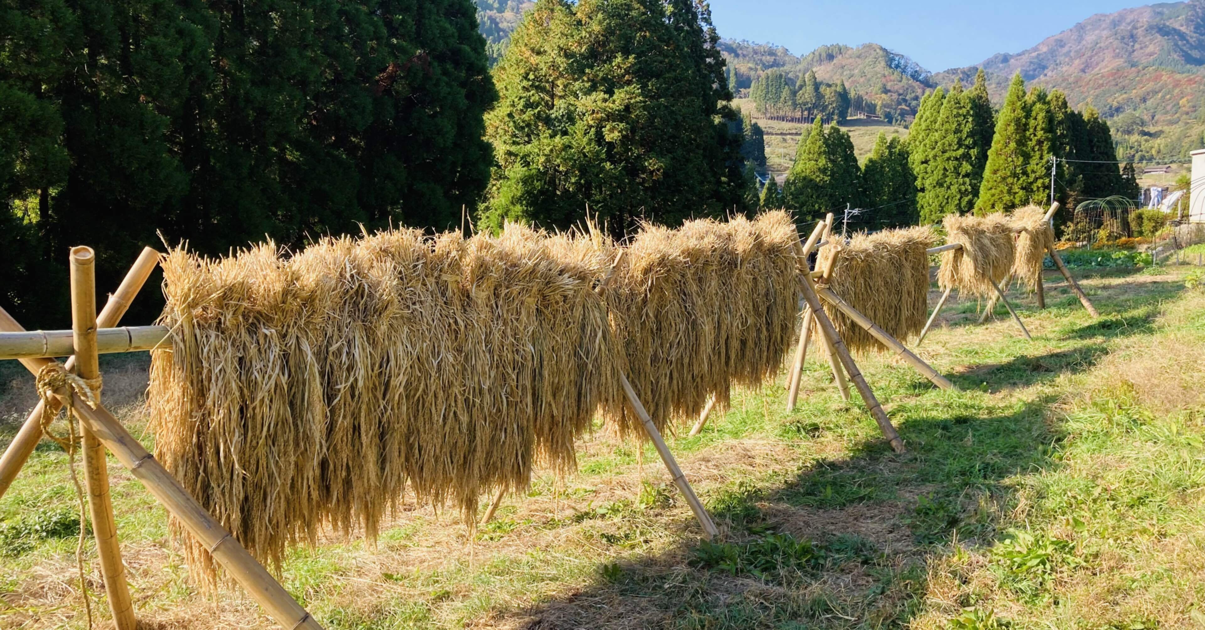 f576feb0ad8a1c554943ff355dc946