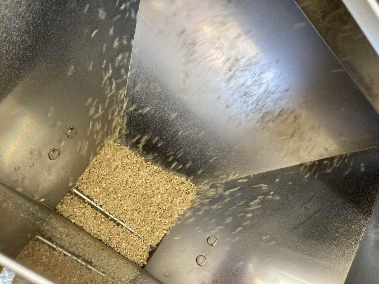 陸稲のうるち米 農林24号|悲願の精米達成まで｜まやのやまの暮らし