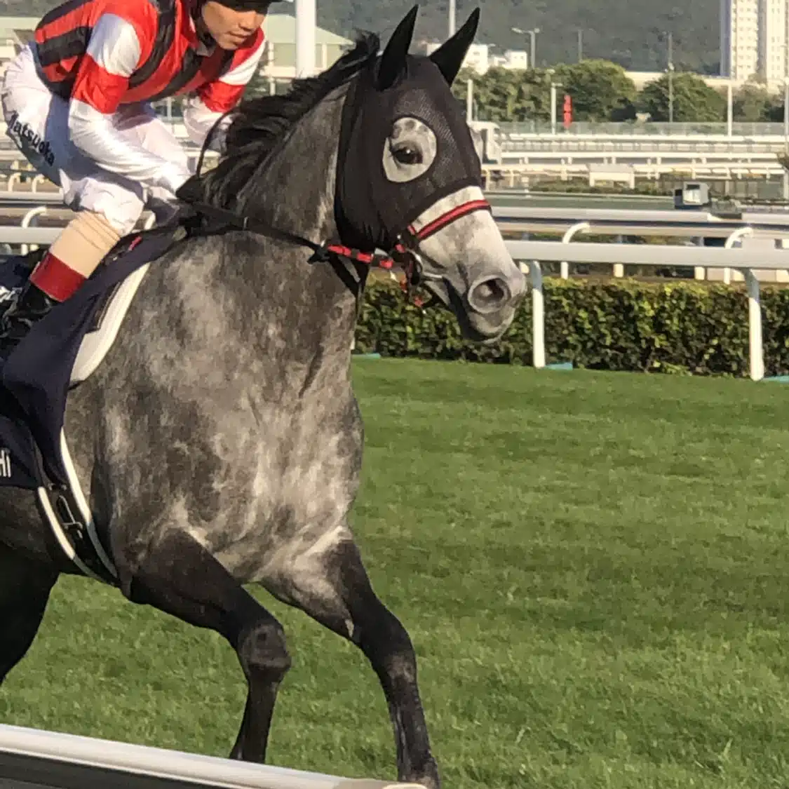 2026ジャックルマロワ賞世界1わかりやすく細かく解説/世界1の情報量