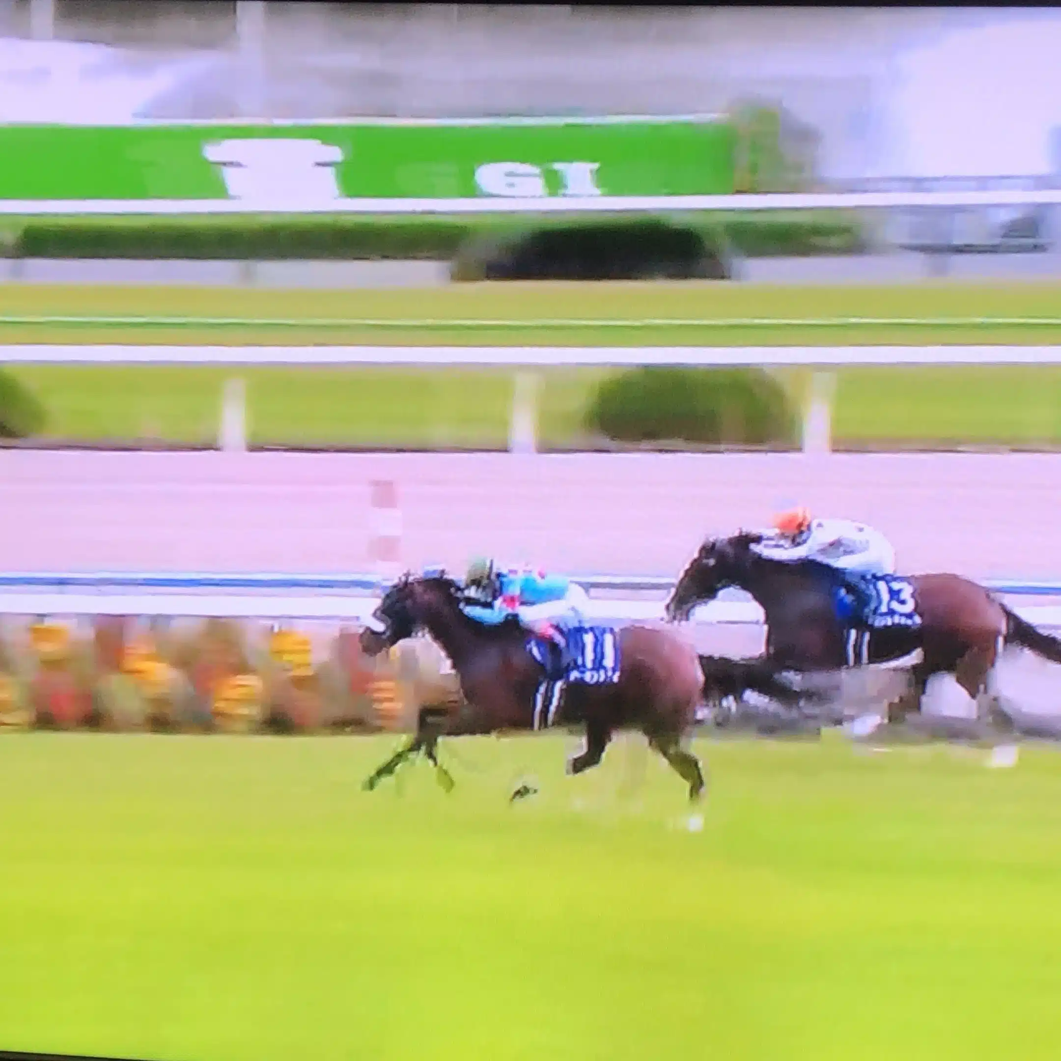 ゆうネクッチ競馬＆競艇予想🐎🚤