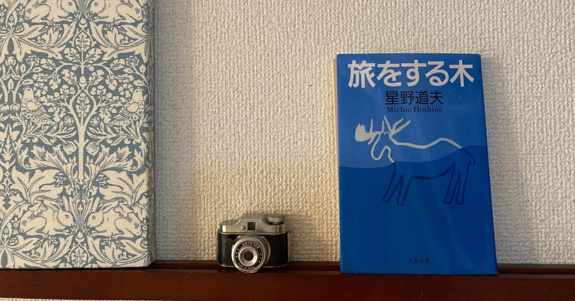 星野道夫『旅をする木』（読書感想文）－もうひとつの時間－｜倉田そら
