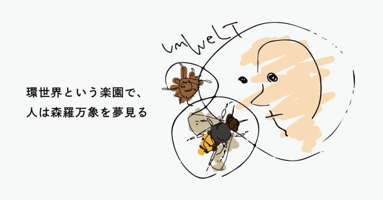 究極品質 秘蔵放出 大いなる地球の宝物 スペリオルレッドオーラライト 