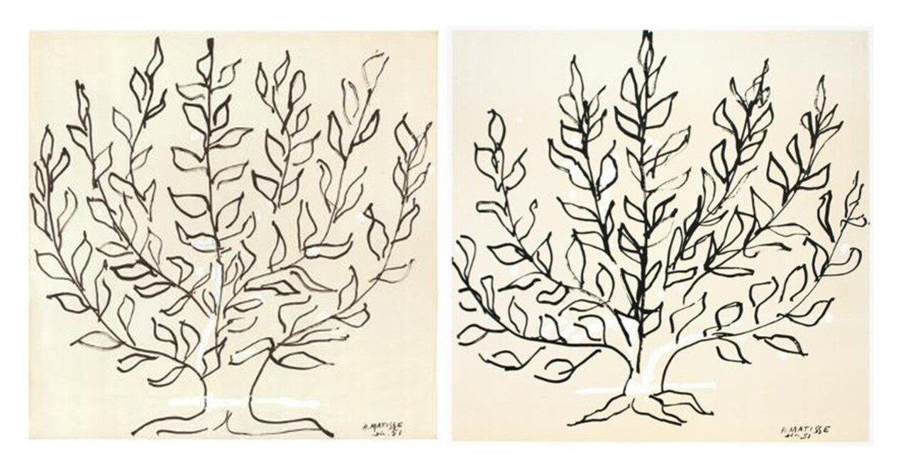 マティスの「低木」は2種類ある？｜tentomushi