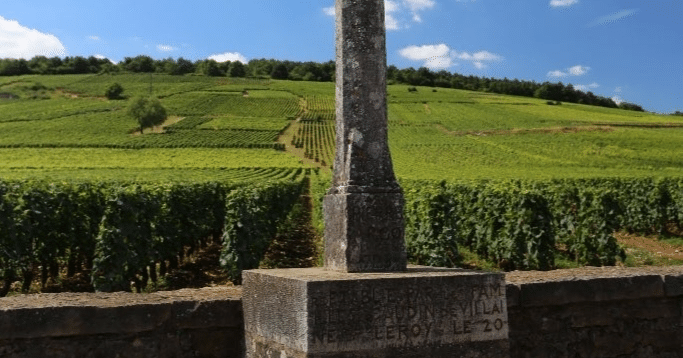 なぜフランスはワイン大国とよばれているのか。これ知っとけばフレンチ