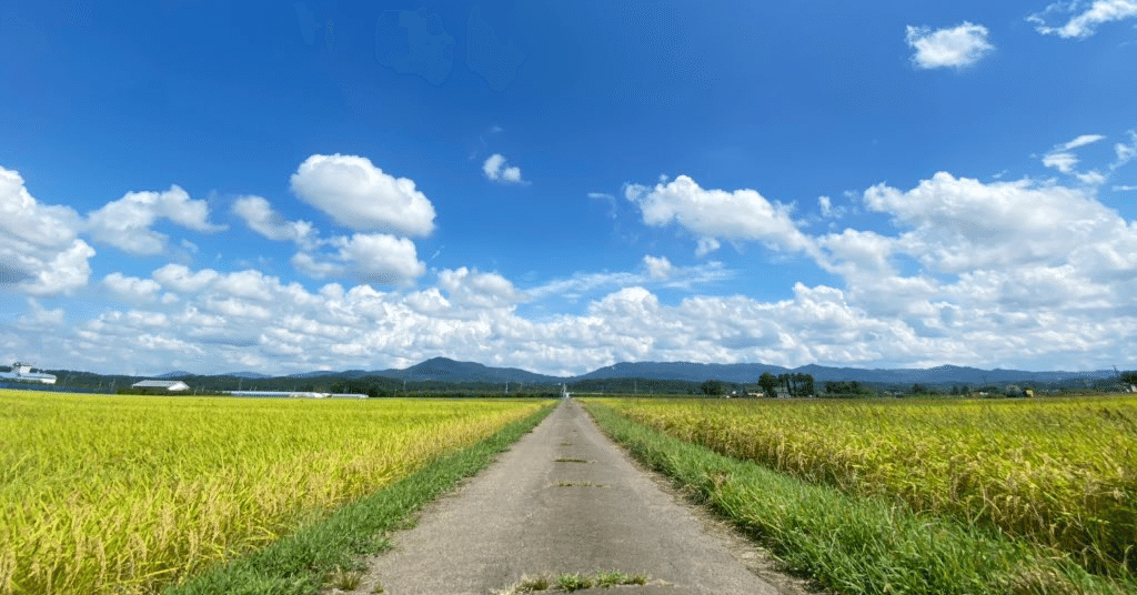 CFA回顧録 - Level 1 & 2｜じぇがなが