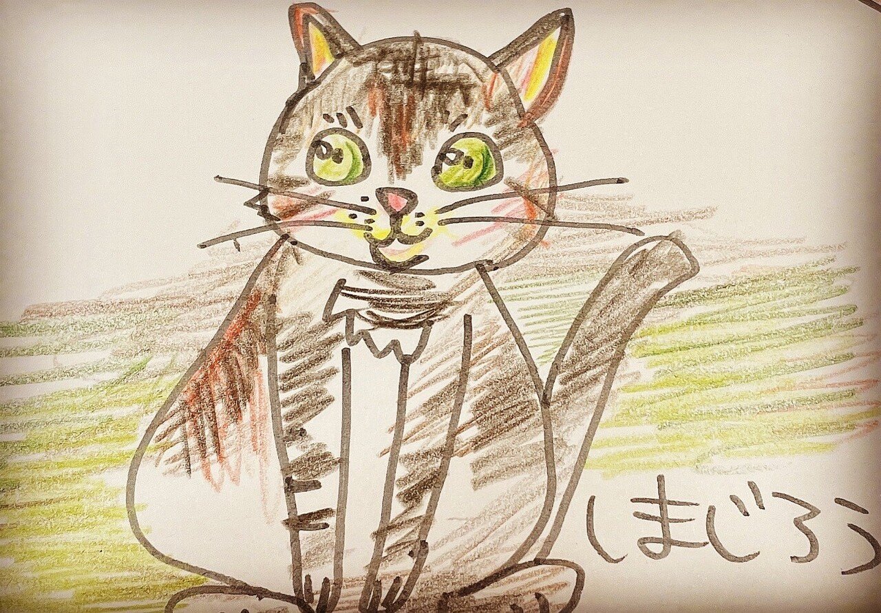 猫のイラストを頼まれて描きました 絵本作家あべの結華梨 Note