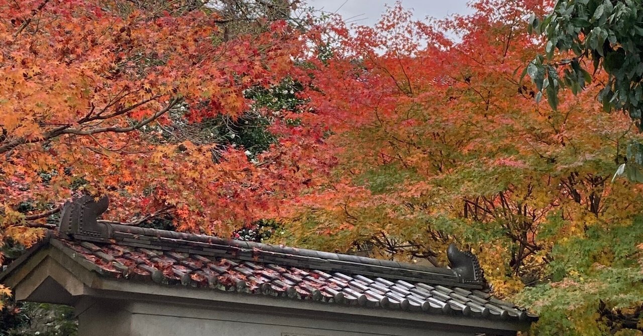 秋便り｜朝日焼作陶館　asahisakuto｜note