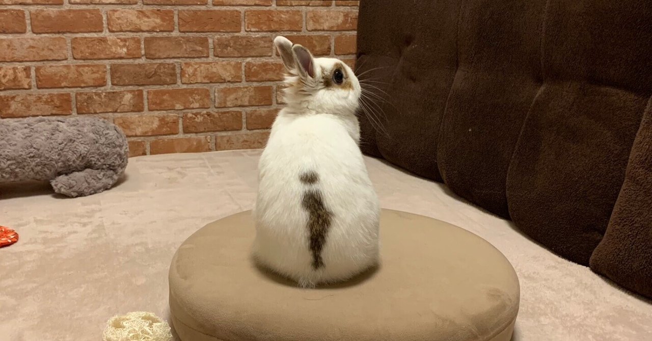 White Rabbit|ram|note