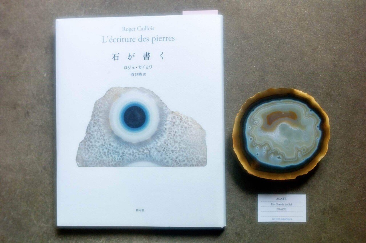 石のエン｜kuno_yasuhiro