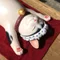 いまのハル