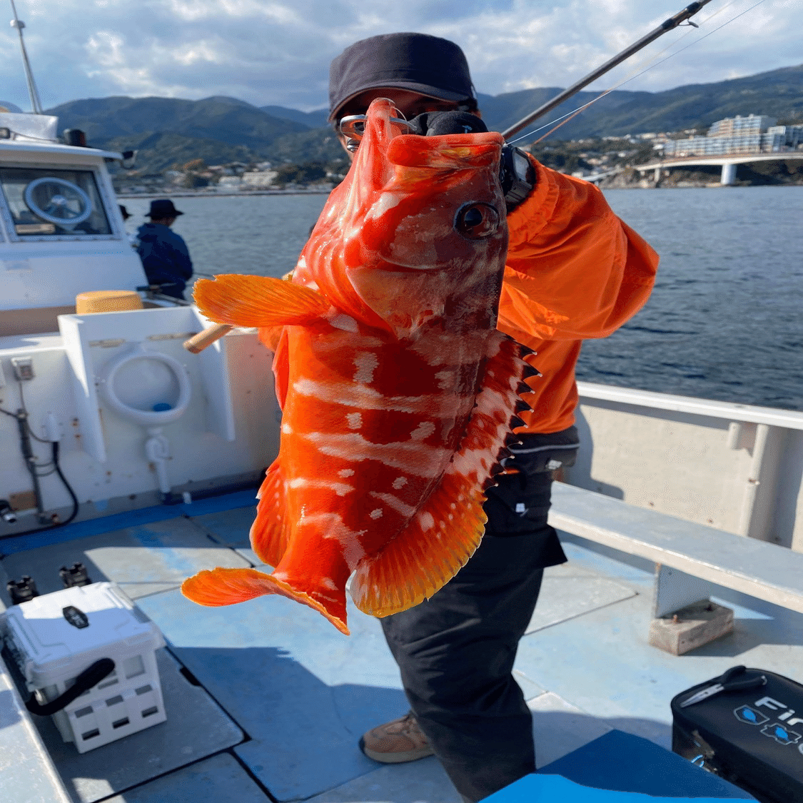 ［最終値下げ］ディアモンスターmv65 Dear Monster MX-65 - Monster Kiss モンスターキス