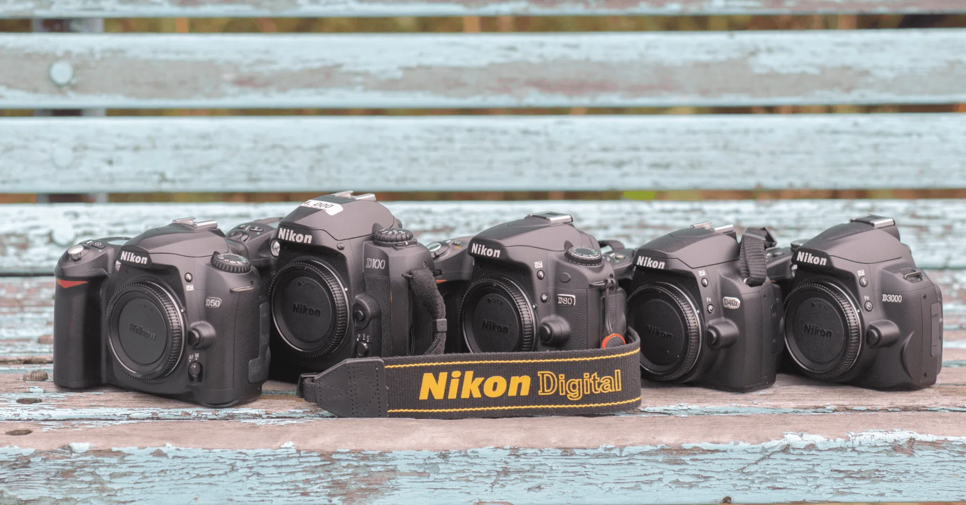 7つのNikonCCD機とD200(仮称)|すずね 7つのNikonCCD機とD200(仮称)|すずね