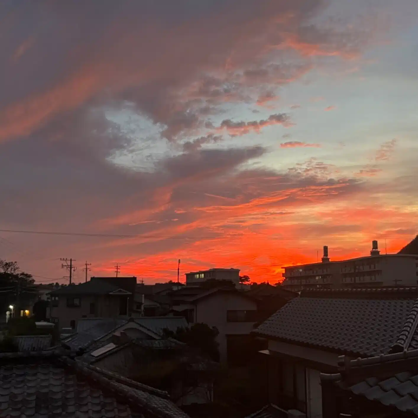 パル