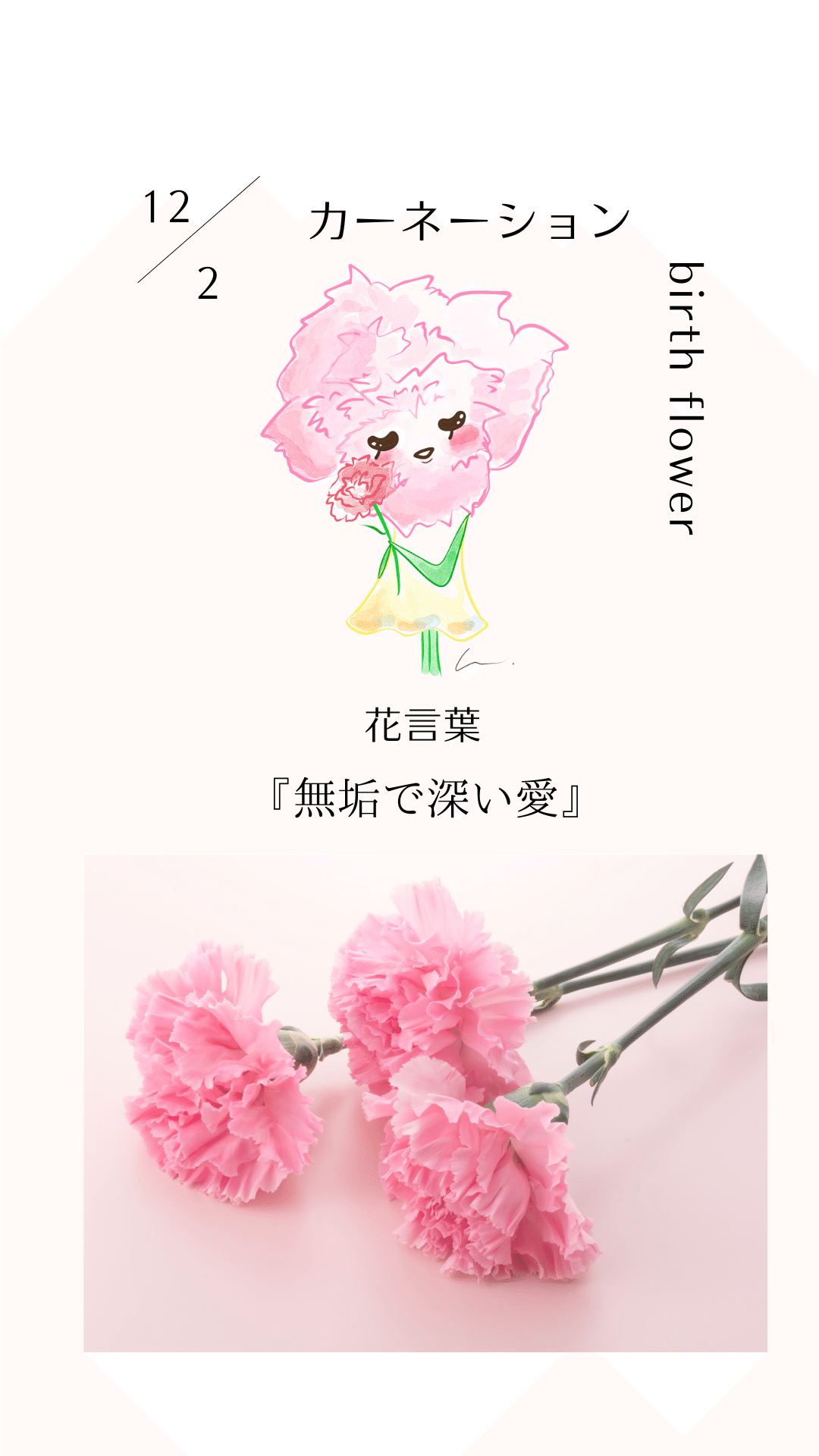 12月02日の誕生花と花言葉でおめでとう イラスト 写真 森田はぐみ イラストレーター Hanapopdesign Hug Note