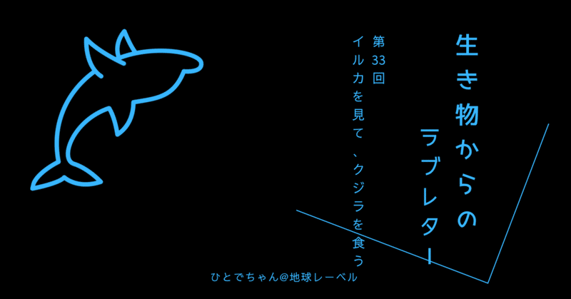 イルカを見て、クジラを食う【生き物からのラブレター#33】