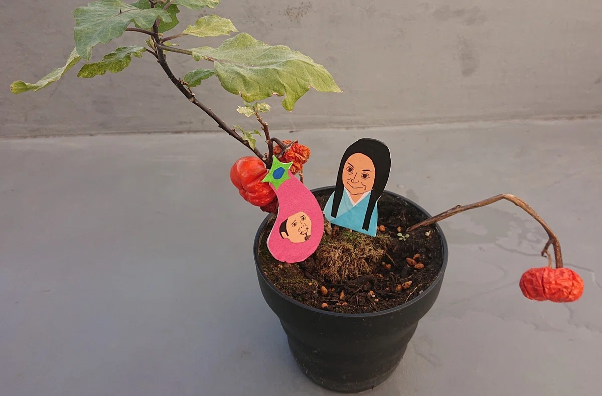 画像