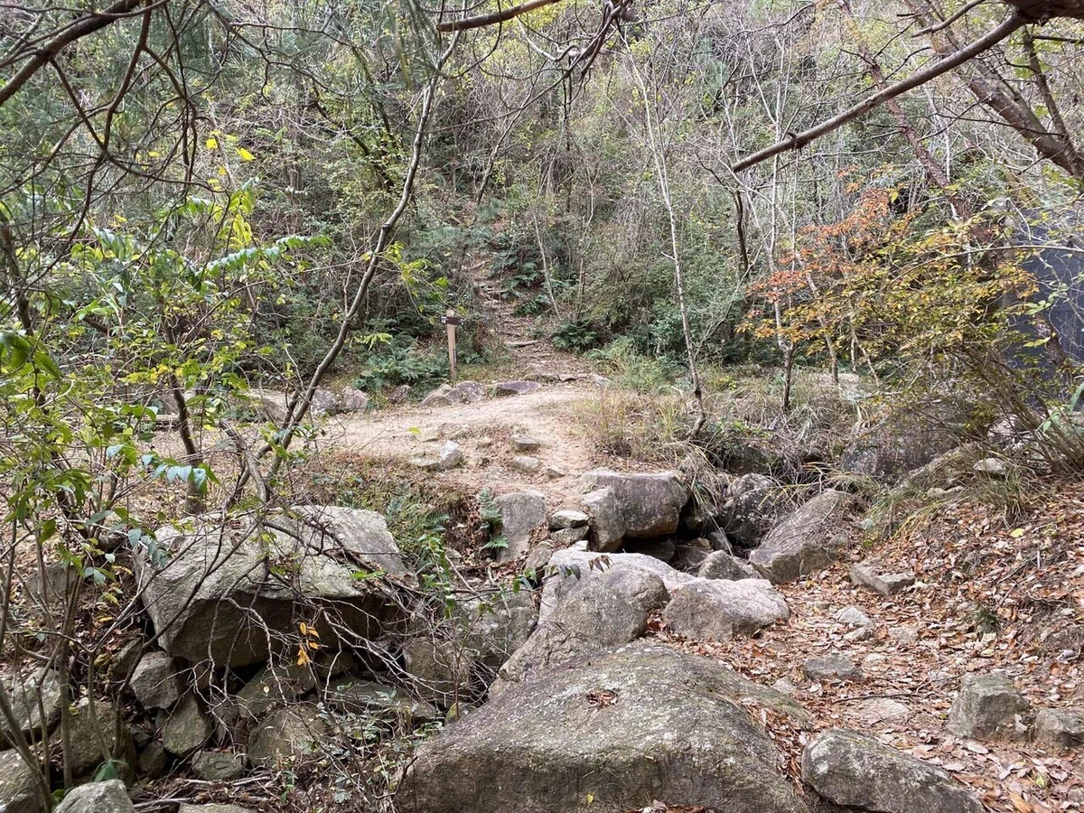 六甲山系 荒地山｜mountain go