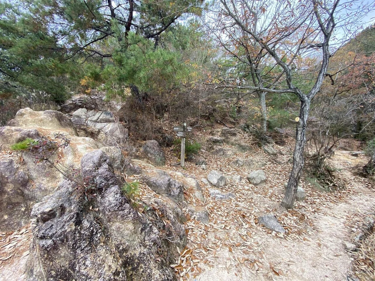 六甲山系 荒地山｜mountain go