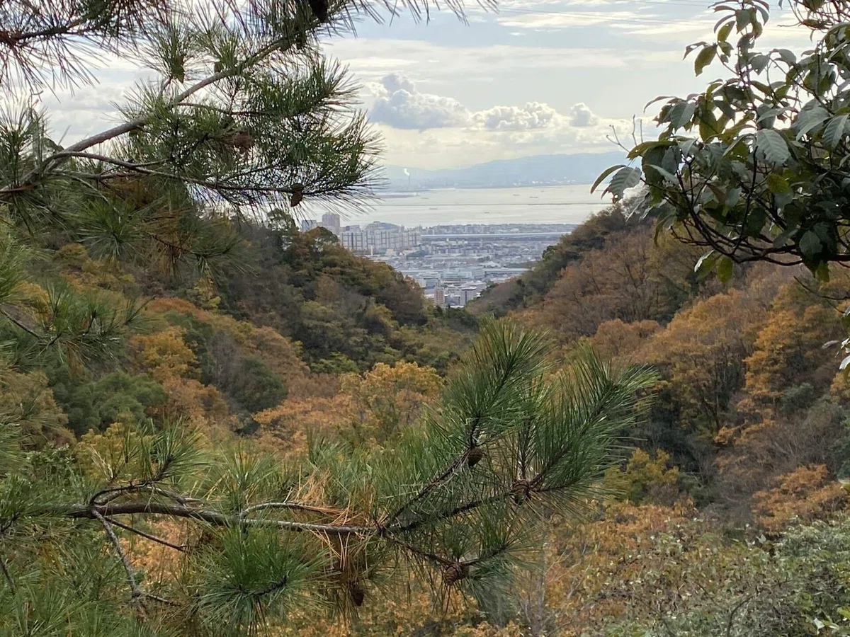 六甲山系 荒地山｜mountain go