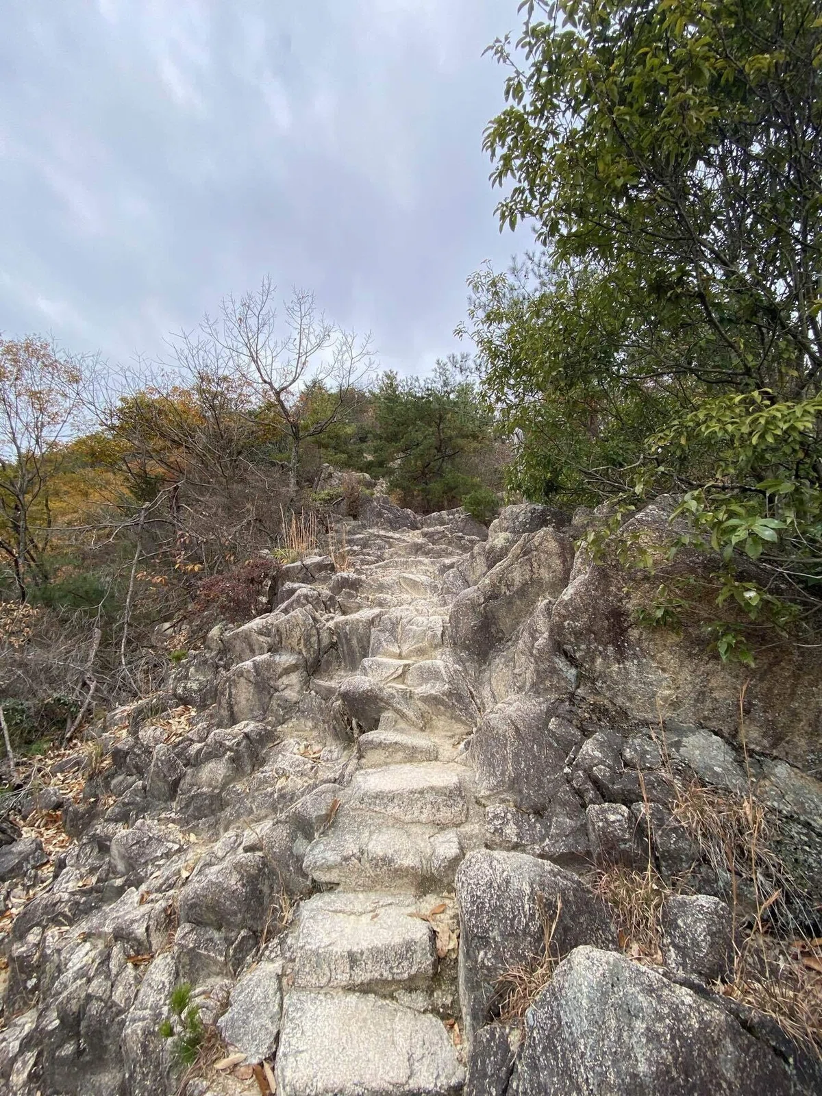 六甲山系 荒地山｜mountain go
