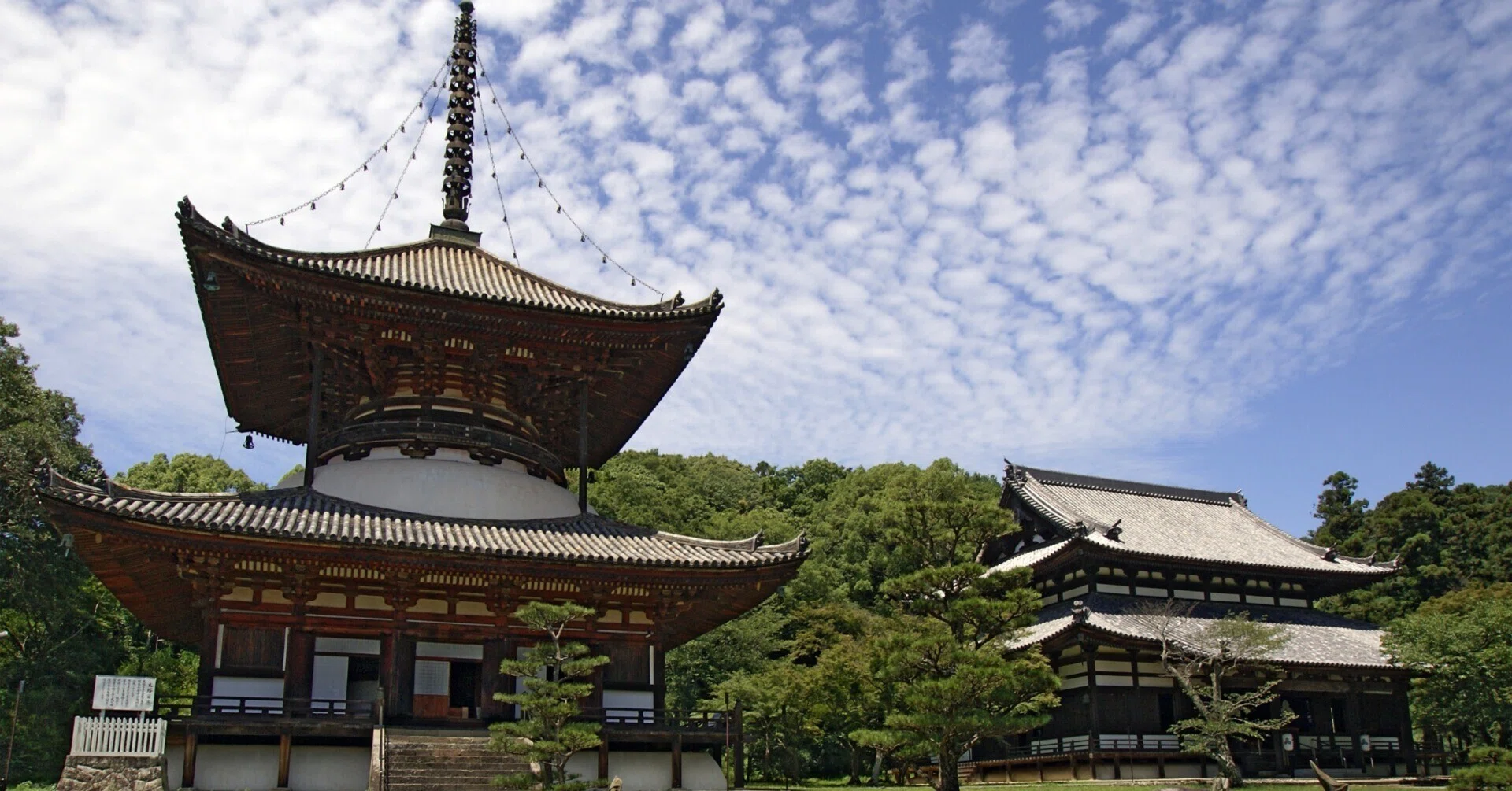 京都・智積院の名宝』〜真言宗智山派とは？〜｜かわかわ