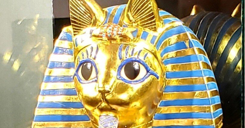 808e7f0de42d19fcfb0d0b23a6dc57