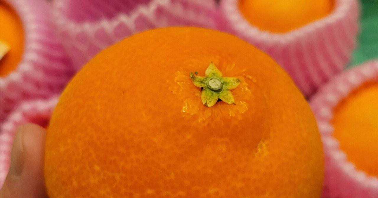【送料0円】 華まどんな🍊」ゼリーのような口当たり😆｜Yukihiro🧸 果物