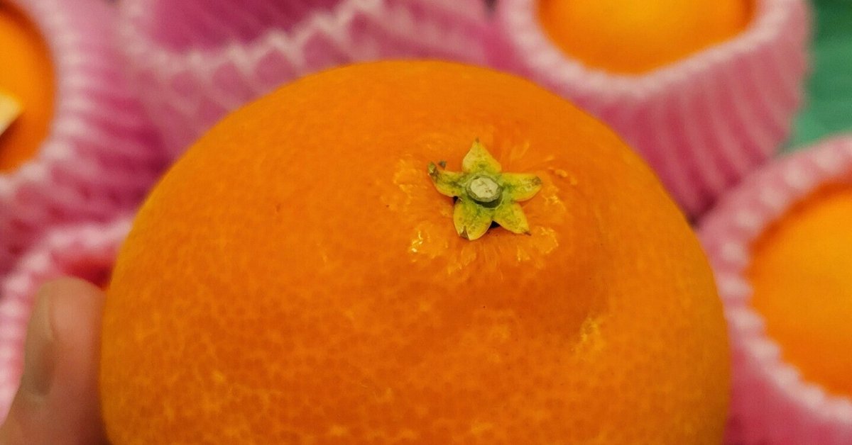 【良好品】 華まどんな🍊」ゼリーのような口当たり😆｜Yukihiro🧸 果物