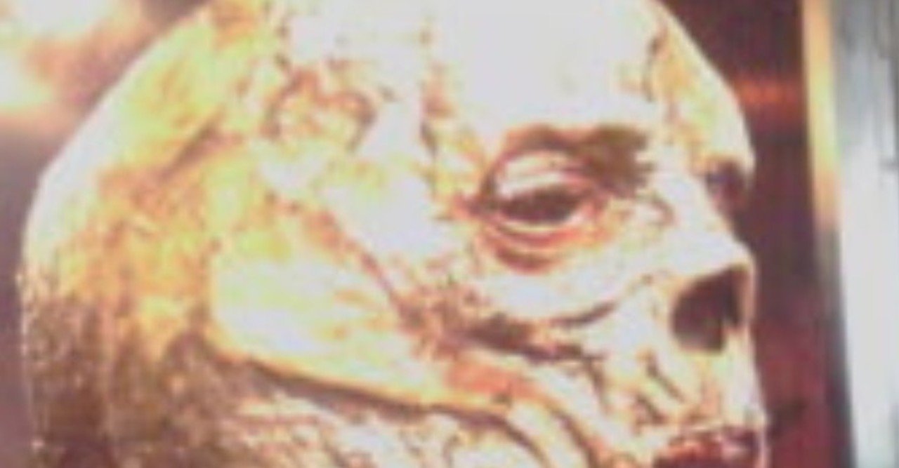 怖いマスクの作り方 麻草 郁 Note 怖いマスクの作り方 麻草 郁 Note