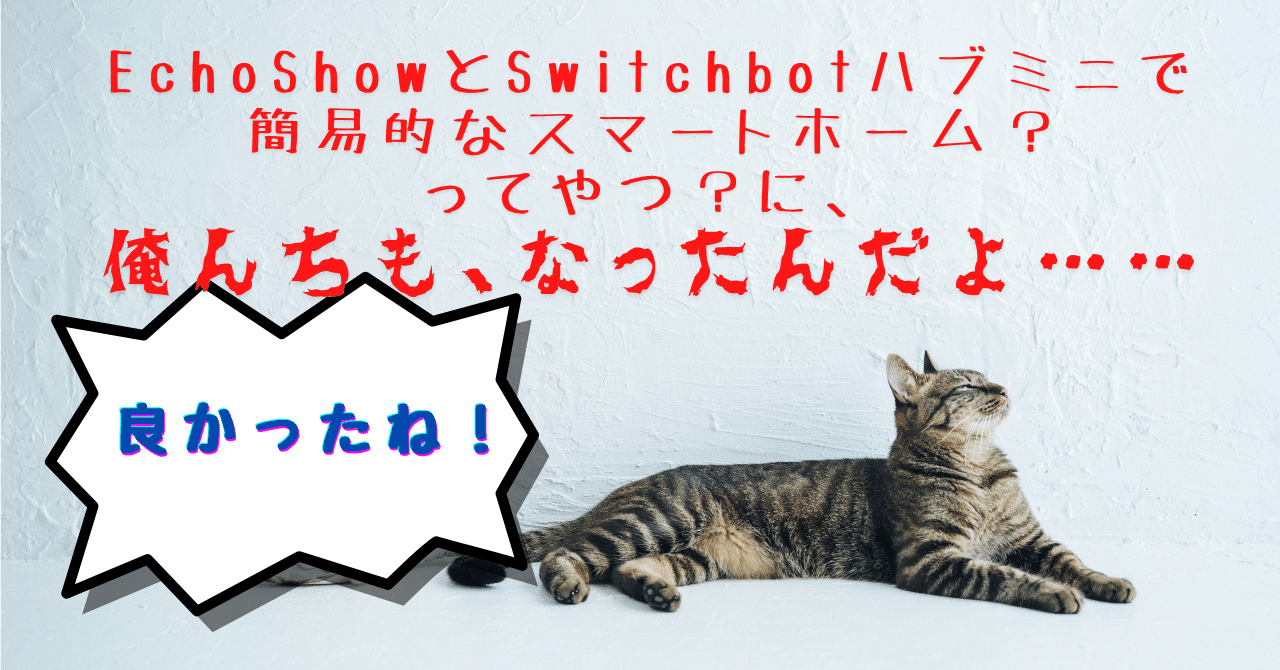 echoshow5 SwitchBotハブミニ | www.phukettopteam.com