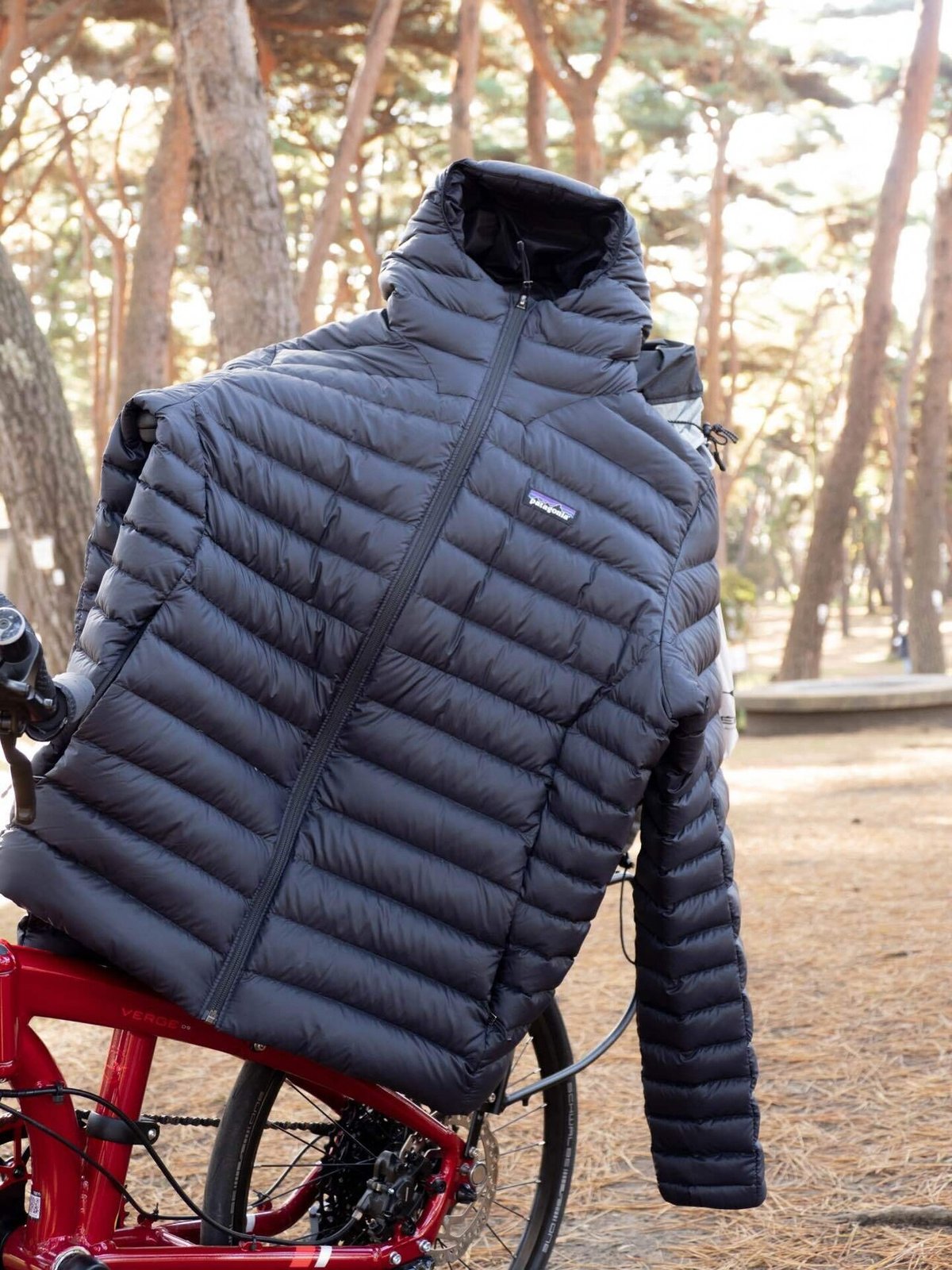 今年のパタゴニア・ダウンセーターは凄いわよ｜あんかけ 