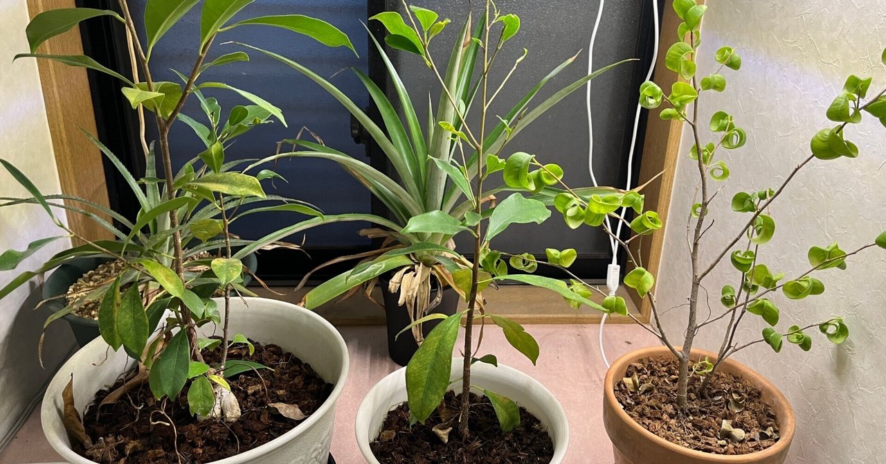 rectangle_large_type_2_a27e8fe